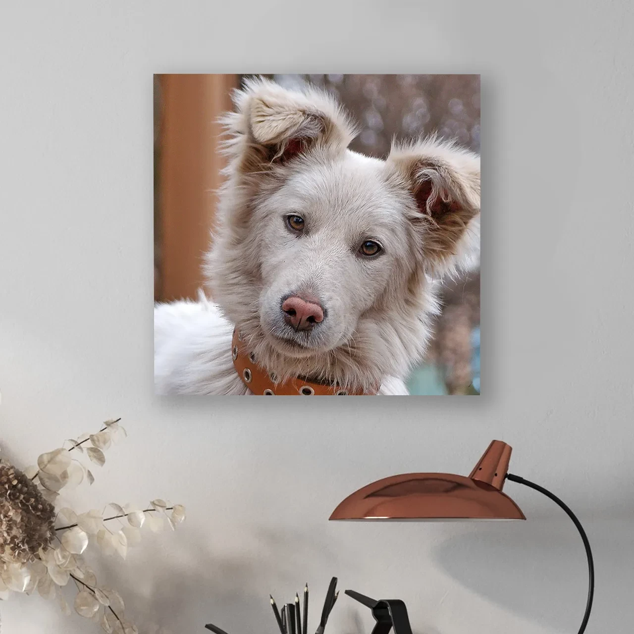 Bilder auf Alu-Dibond als stilvolle Wanddekoration Ein Alu-Dibond Druck ist ein hochwertiger und stilvoller Wandschmuck für euer Zuhause und macht eure Lieblingsbilder zu einem echten Hingucker in jedem Raum.