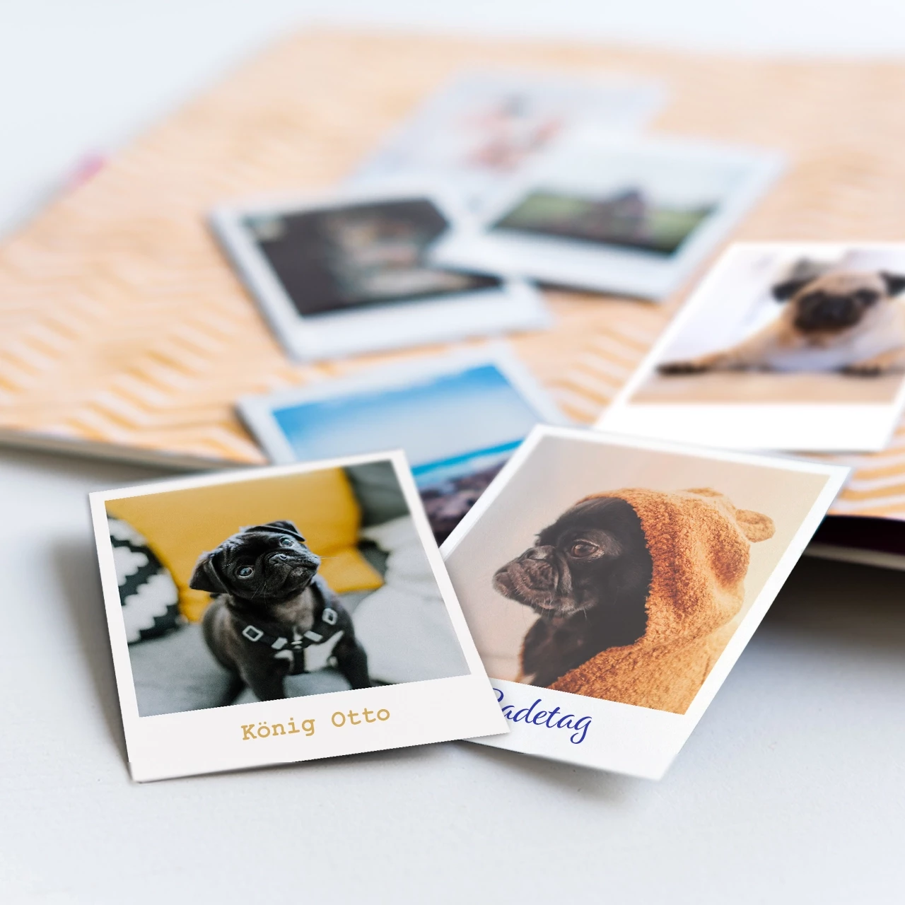 Retro Bilder drucken im Stil der Polaroid Bilder Wenn ihr Retro-Fotos im Stil der Polaroid Bilder bestellt, erhaltet ihr einzigartige und hochwertige Fotos im Retrostil. Jetzt online in der ROSSMANN Fotowelt bestellen.