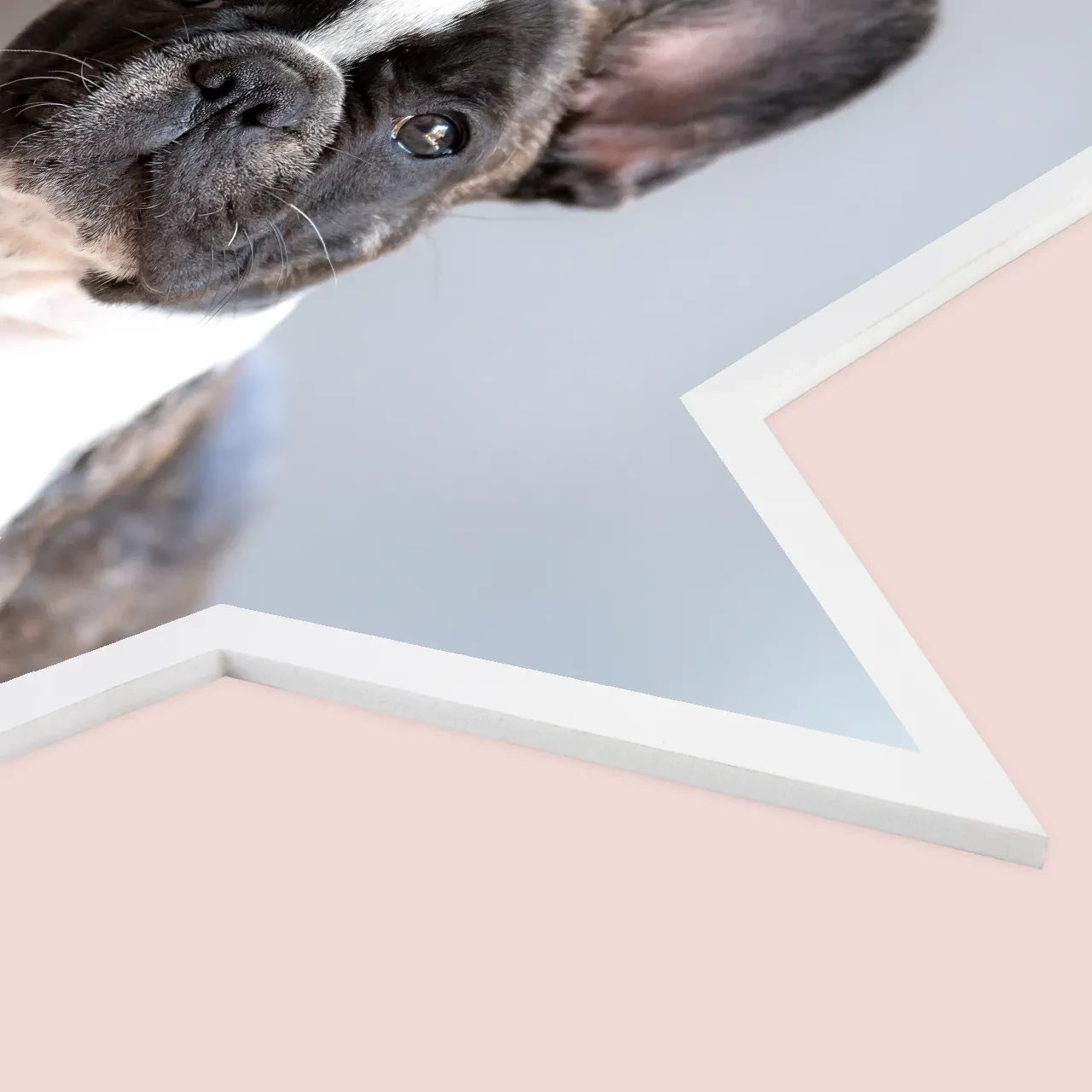 Schicke Fotokacheln in verschiedenen Formen findet ihr in der ROSSMANN Fotowelt. Werdet kreativ und gestaltet eine individuelle Fotowand. Einfache Anbringung. Fotokacheln in verschiedenen Formen mit weißem Rand