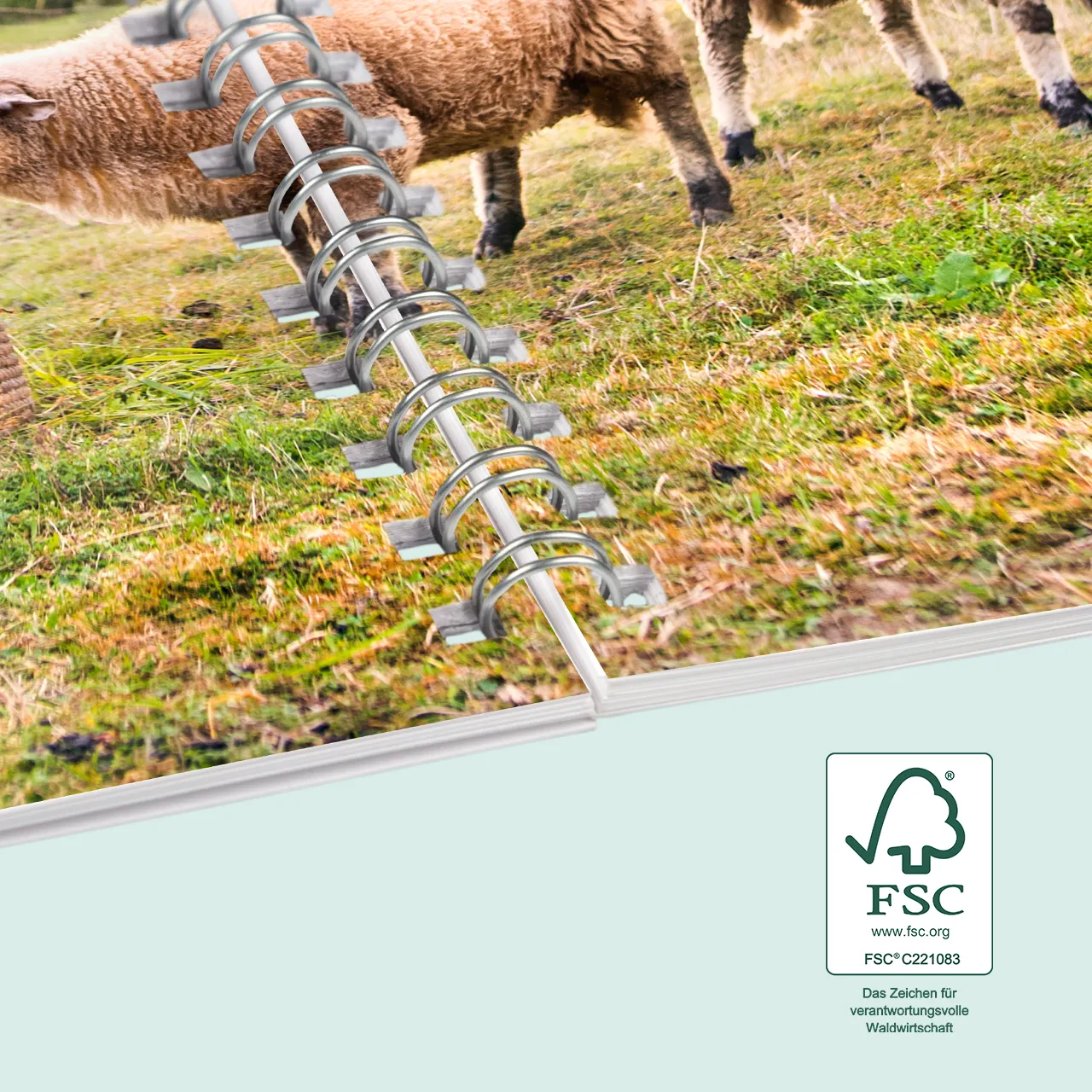 Gestaltet ein Fotobuch mit Ringbindung für Kinder mit großen Fotos von Familienmitgliedern, ideal zum Blättern. Online oder offline bei ROSSMANN Fotowelt erstellen. Ringbuch Fotoalbum für Kinder erstellen, ideal zum Blättern