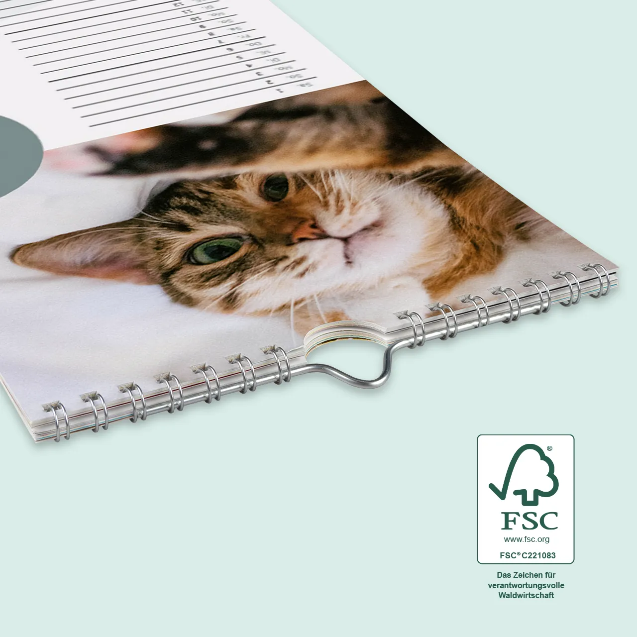 Terminkalender, Spiralbindung, viele Designvorlagen Der Foto Terminkalender aus der ROSSMANN Fotowelt wird aus umweltbewussten Materialien hergestellt und wird mit euren schönsten Schnappschüssen zum praktischen Blickfang.