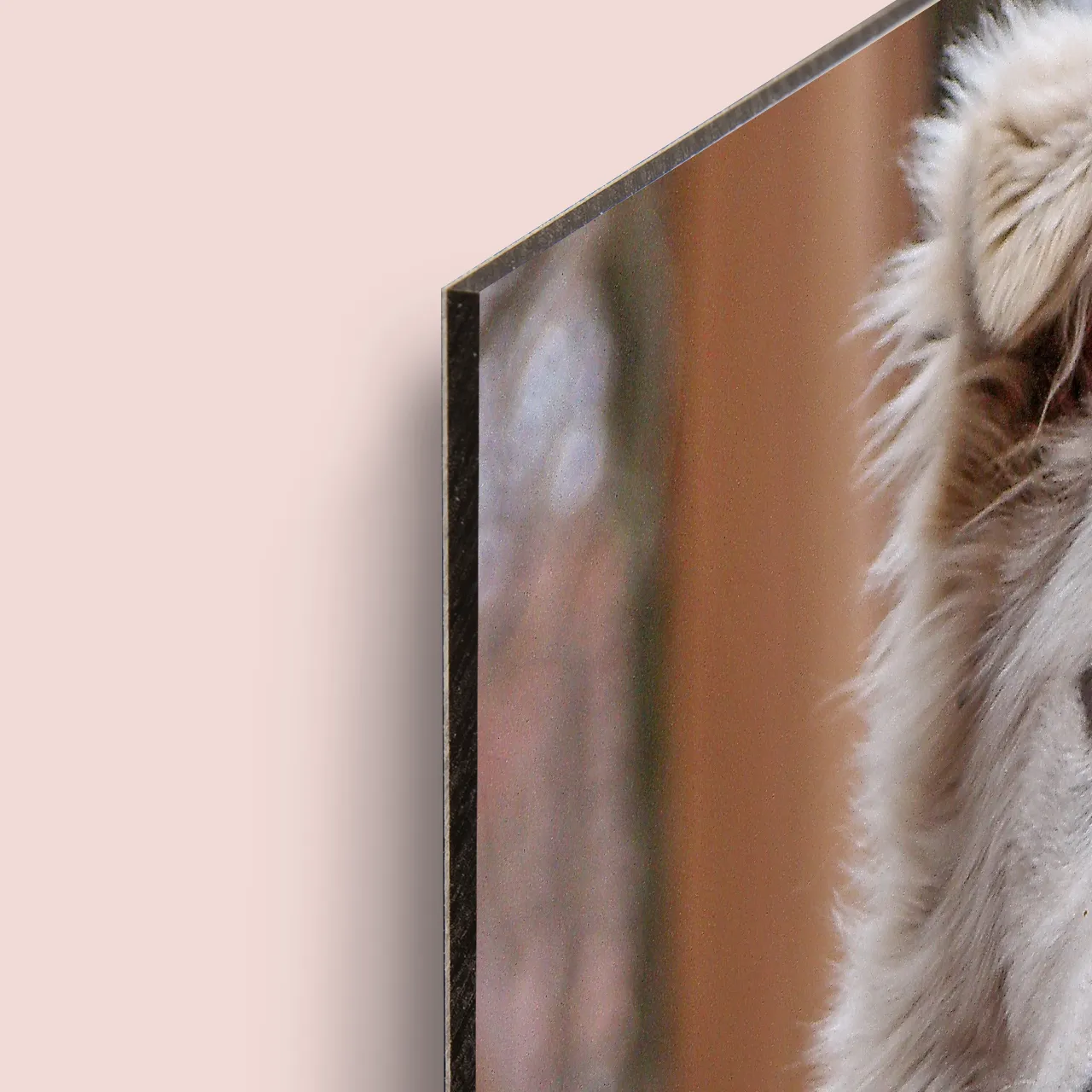 Der Alu-Dibond Druck mit ca. 1,5 cm Abstand zur Wand Der Alu-Dibond Druck ist aufgrund der Halterung ca. 1,5 cm von der Wand entfernt. Die Platte ist extrem formbeständig, was sie ideal für großformatige Drucke macht.