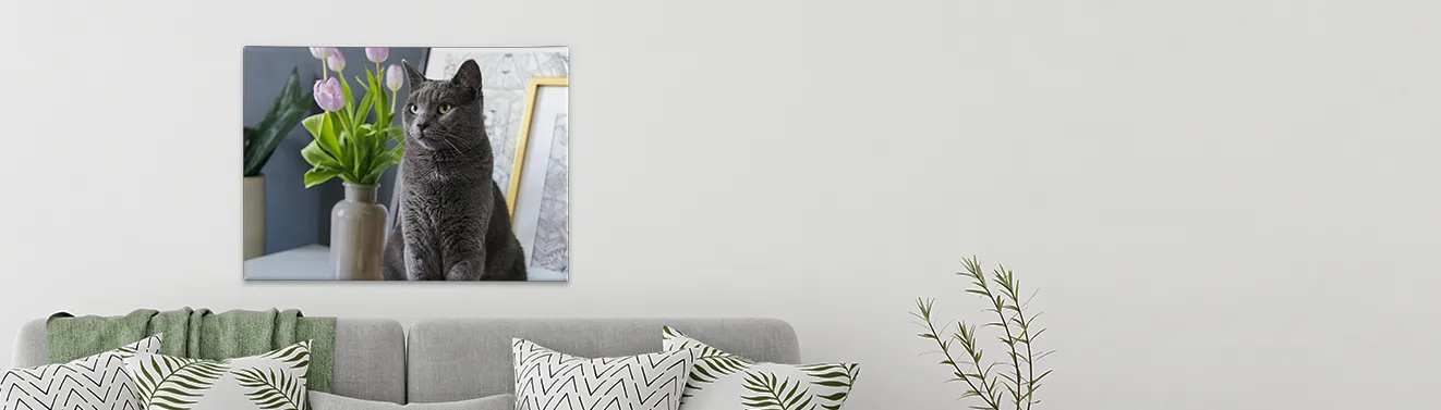 Hochwertige Fotoleinwand mit Foto online bestellen, Größenauswahl Eine große, an der Wand hängende Leinwand mit einem persönlichen Lieblingsmotiv. Jetzt in der ROSSMANN Fotowelt gestalten!