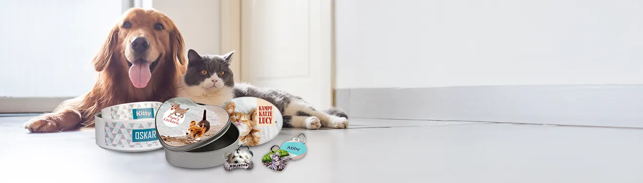 Fotos auf Tierzubehör gestalten Fotos auf personalisierten Produkten für Hunde und Katzen
