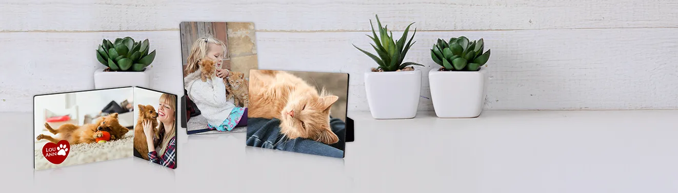Individuelle Fotoaufsteller mit eigenen Fotos gestalten Fotoaufsteller mit persönlichen Fotos von Katzen und Haustieren