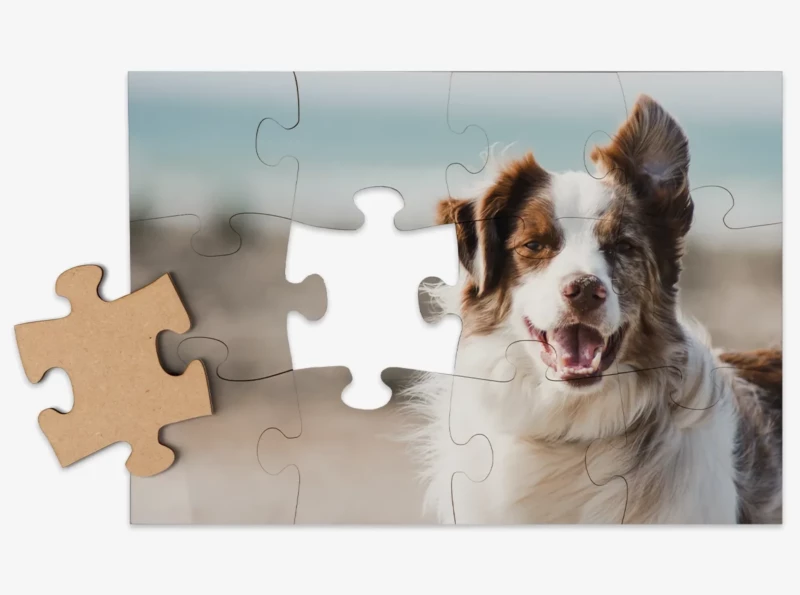 Gestaltet ein Puzzle mit Foto mit euren Lieblingsmotiven. Perfekt für personalisierten Puzzlespaß mit hochwertigen Kartonteilen und leuchtenden Farben.