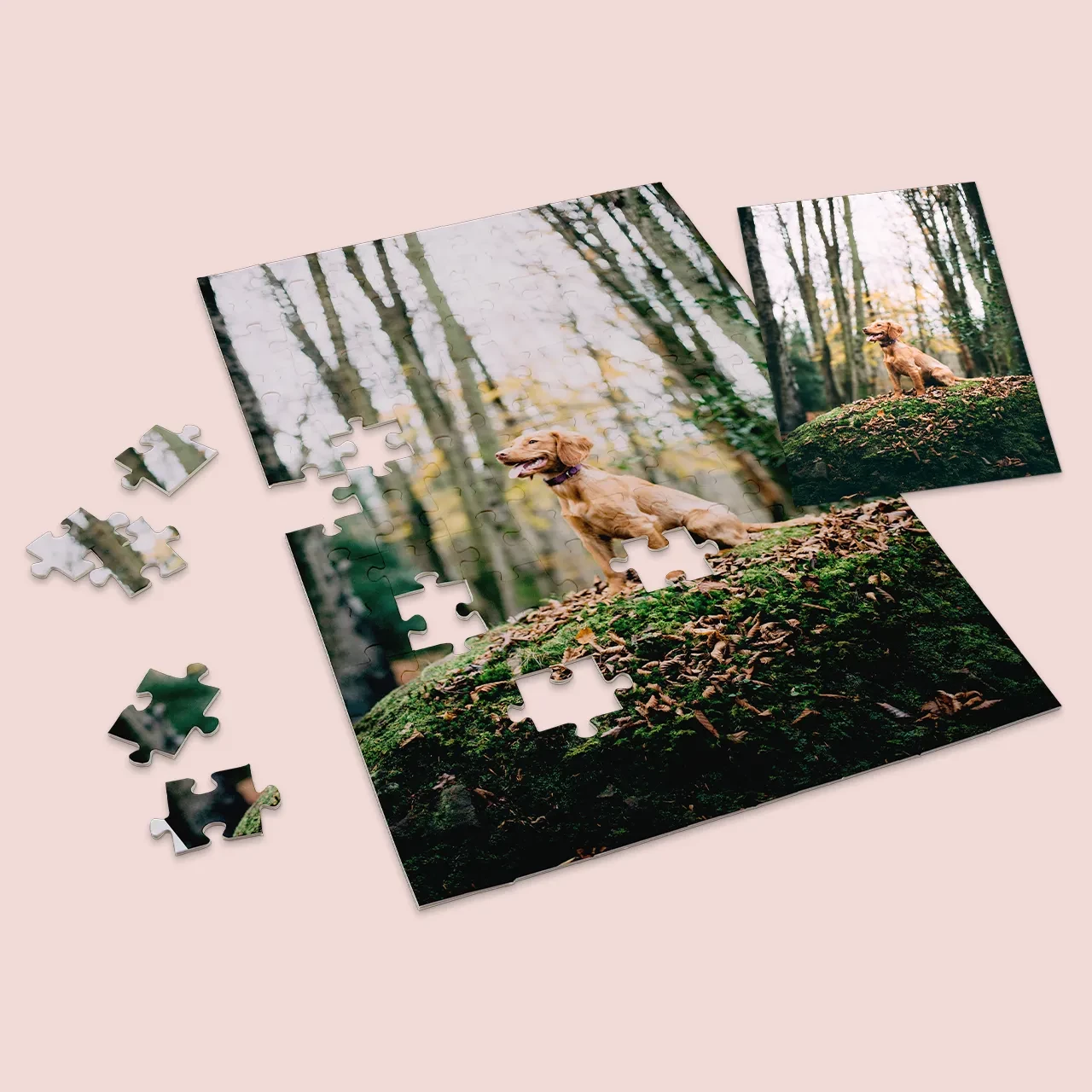 Personalisiertes Puzzle-Foto und Originalbild als Vorlage Personalisiertes Puzzle-Foto von euren Vierbeinern und anderen besonderen Motiven. Das Originalfoto ist als Vorlage im Lieferumfang enthalten. Handarbeit.